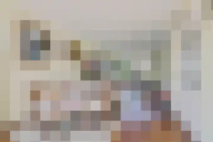 Beverodelaan 30 Dieren thumbnail 6