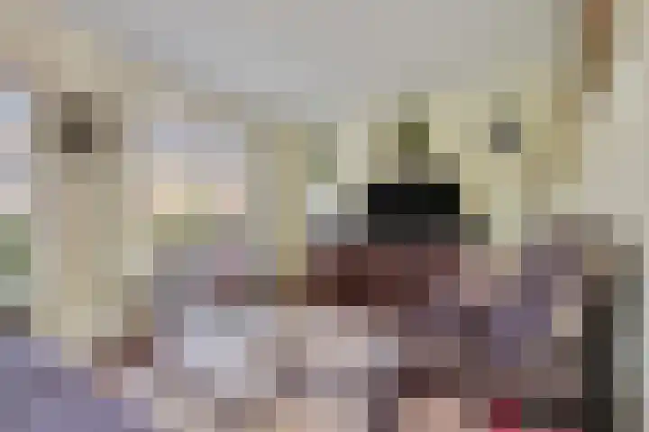 Beverodelaan 30 Dieren thumbnail 8