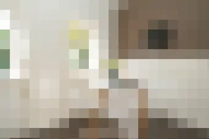 Bevershoeve 11 Berlicum thumbnail 17