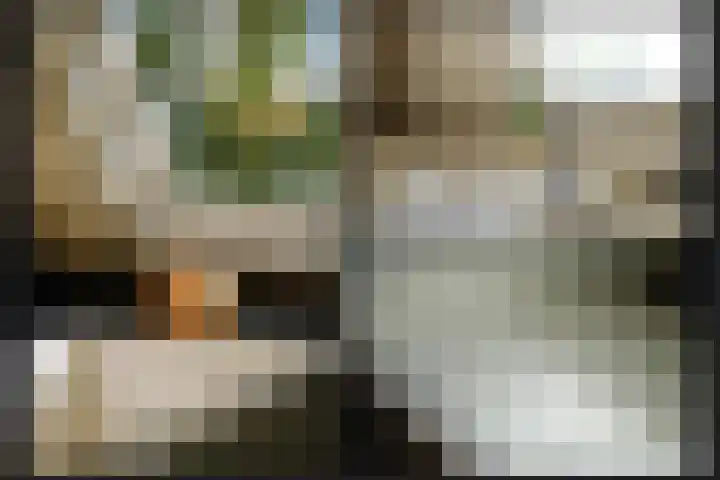Bevershoeve 11 Berlicum thumbnail 41