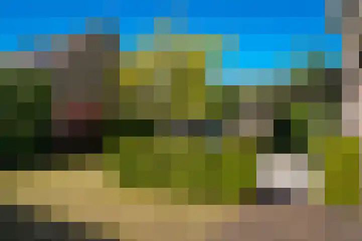 Bevershoeve 11 Berlicum thumbnail 46