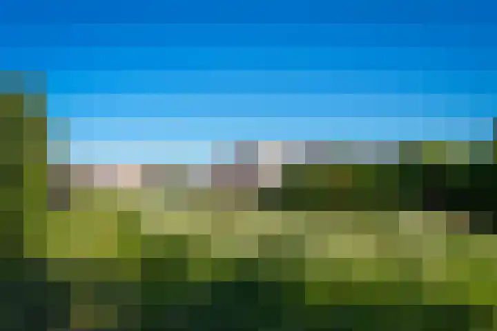 Bevershoeve 11 Berlicum thumbnail 59