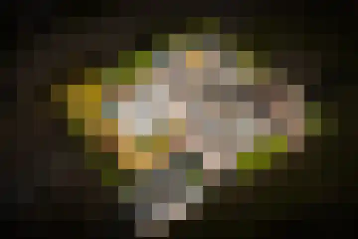 Bevershoeve 11 Berlicum thumbnail 61