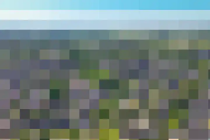 Bevershoeve 11 Berlicum thumbnail 64