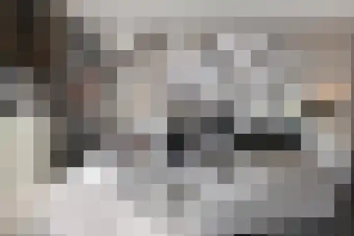 Beversingel 10 Culemborg thumbnail 10