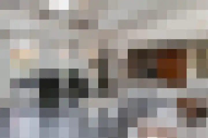 Beversingel 10 Culemborg thumbnail 14