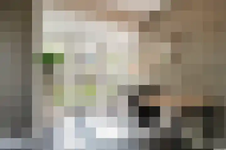 Beversingel 10 Culemborg thumbnail 18