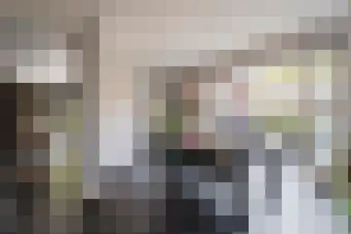 Beversingel 10 Culemborg thumbnail 23