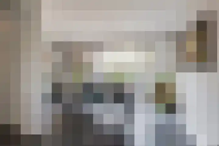 Beversingel 10 Culemborg thumbnail 24