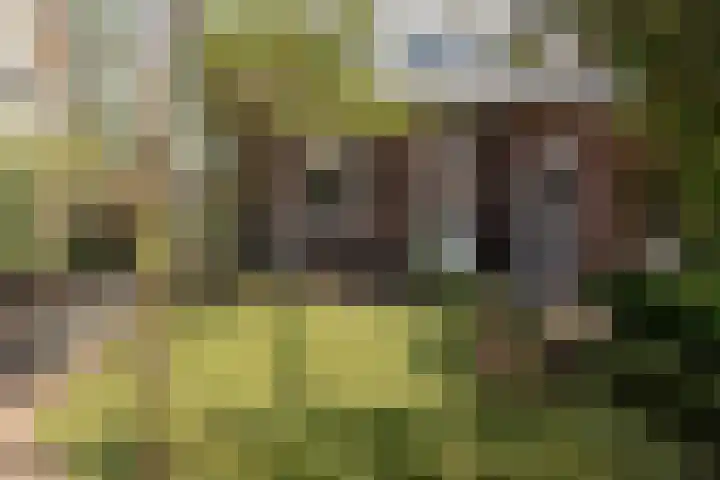 Beversingel 10 Culemborg thumbnail 30