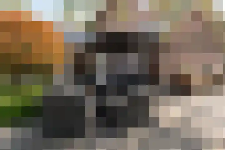 Beversingel 10 Culemborg thumbnail 31