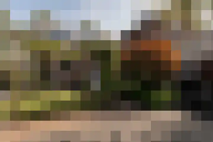 Beversingel 10 Culemborg thumbnail 33