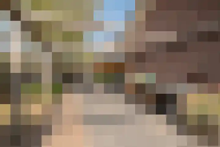 Beversingel 10 Culemborg thumbnail 36