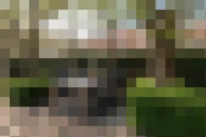 Beversingel 10 Culemborg thumbnail 38