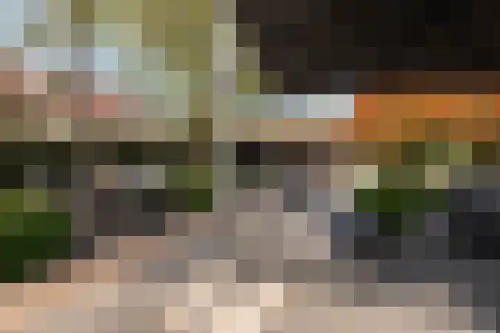 Beversingel 10 Culemborg thumbnail 39