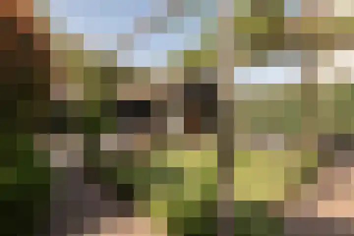 Beversingel 10 Culemborg thumbnail 44
