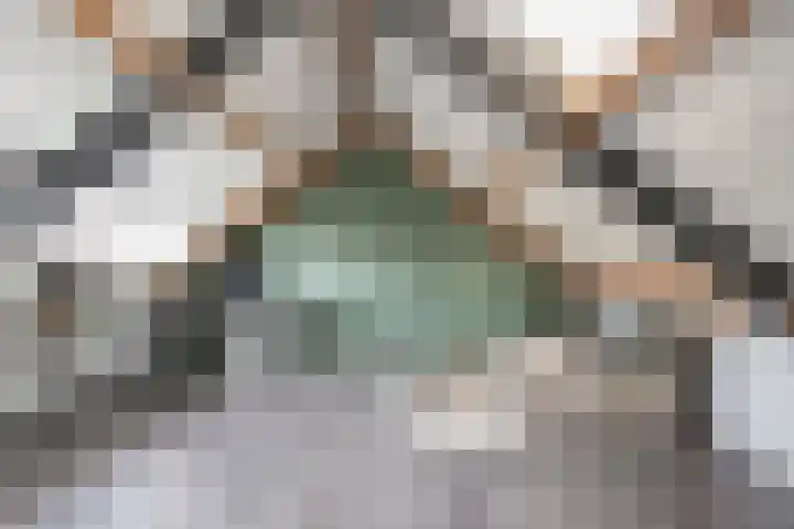 Beversingel 10 Culemborg thumbnail 60