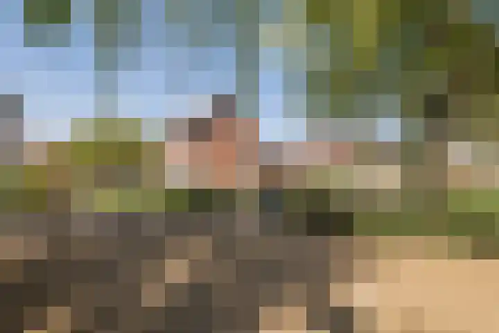 Beversingel 10 Culemborg thumbnail 77