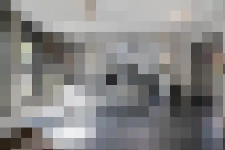 Beversingel 10 Culemborg thumbnail 8