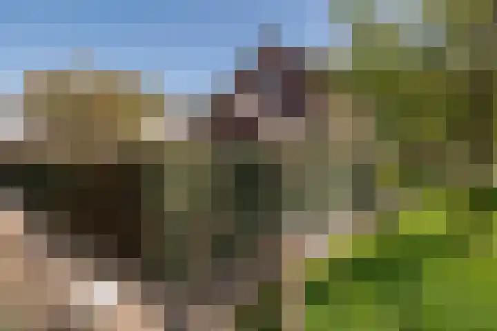 Beversingel 10 Culemborg thumbnail 83