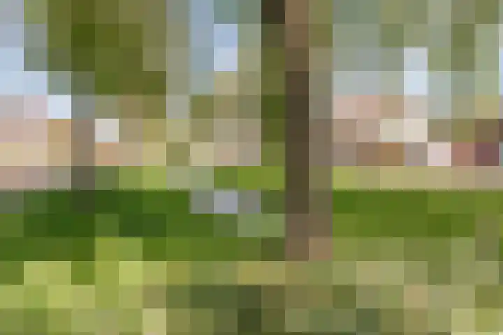 Beversingel 10 Culemborg thumbnail 84