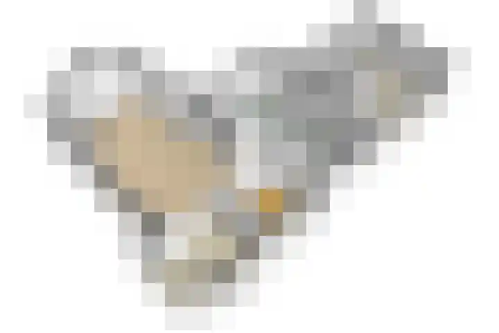 Beversingel 10 Culemborg thumbnail 89