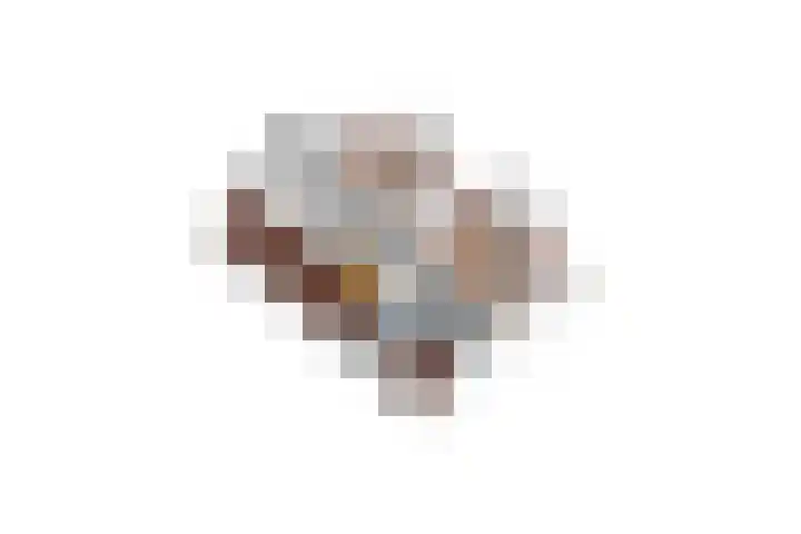 Beversingel 10 Culemborg thumbnail 94
