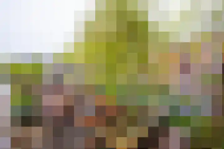 Beverstraat 42 Utrecht thumbnail 39