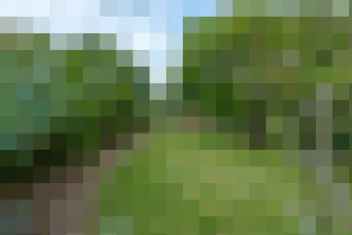 Beverstraat 42 Utrecht thumbnail 45