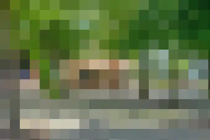 Beverstraat 42 Utrecht thumbnail 46