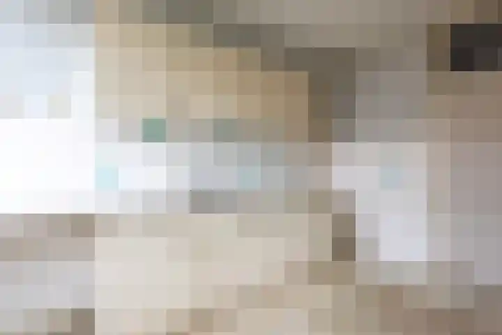 Bevert 64 Vroomshoop thumbnail 15