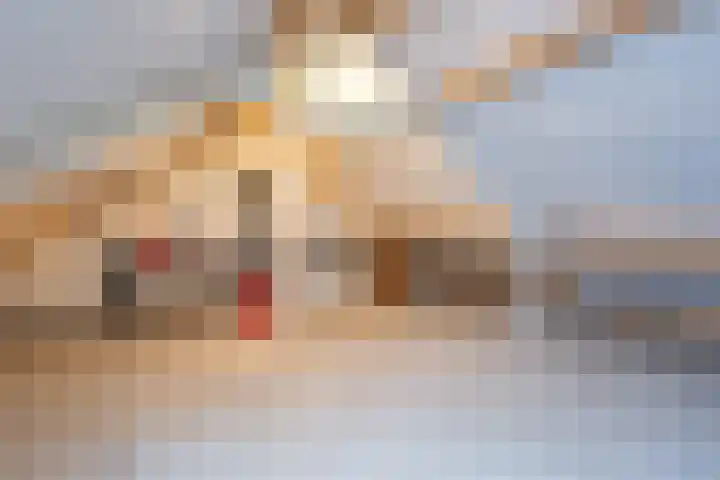 Bevert 64 Vroomshoop thumbnail 22