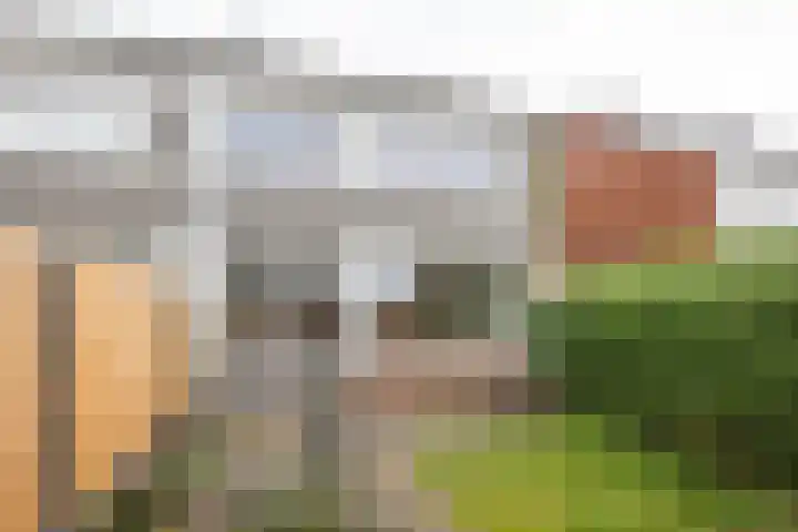 Bevert 64 Vroomshoop thumbnail 25