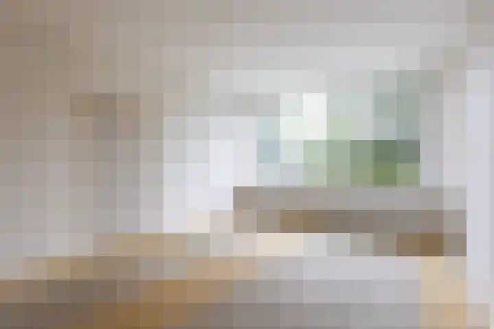 Bevert 64 Vroomshoop thumbnail 6