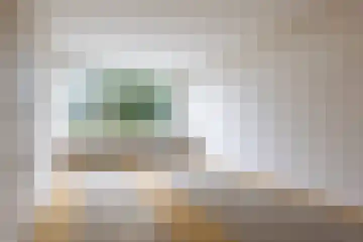 Bevert 64 Vroomshoop thumbnail 7