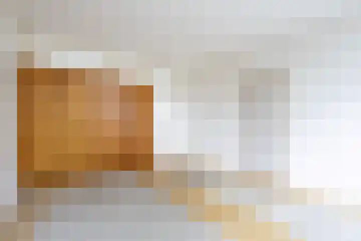 Bevert 64 Vroomshoop thumbnail 9
