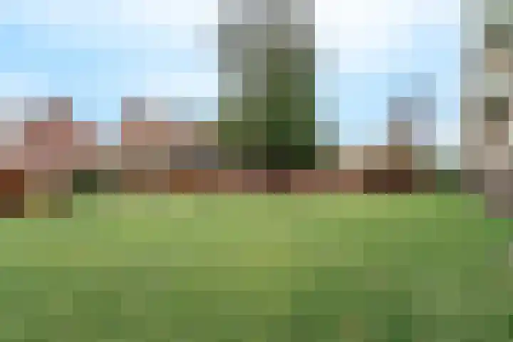 Beverweg 12 B Breda thumbnail 22