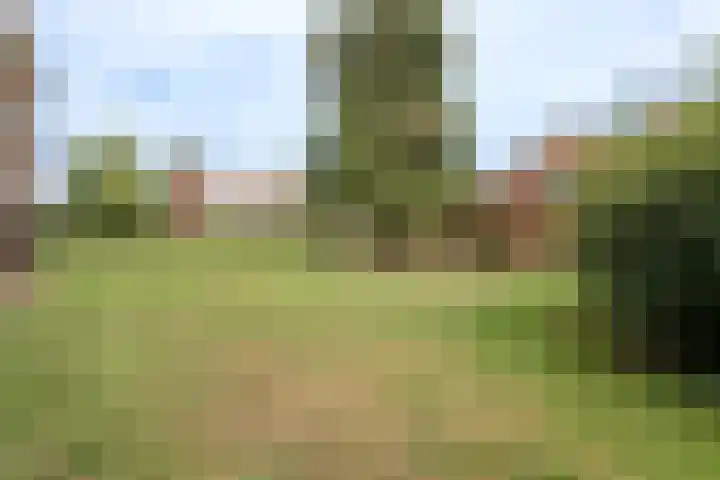 Beverweg 12 B Breda thumbnail 23