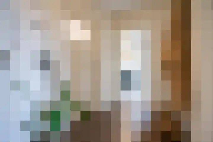 Beverweg 12 B Breda thumbnail 6