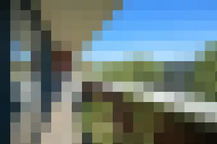 Beverweg 137 Breda thumbnail 11