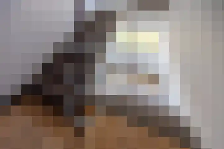 Beverweg 36 Nijmegen thumbnail 5