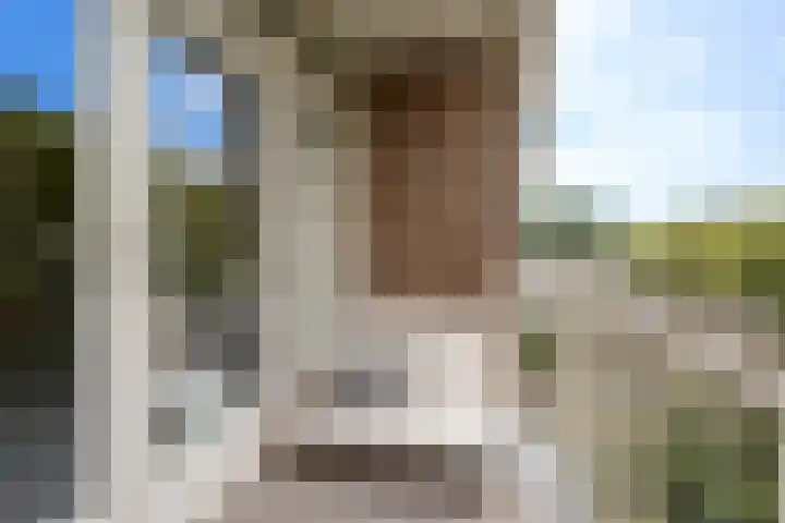 Beverweg 8 B Breda thumbnail 14