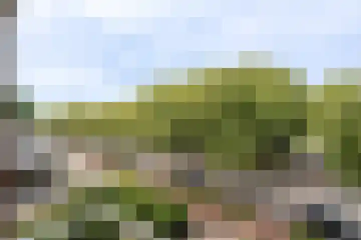 Beverweg 8 B Breda thumbnail 16