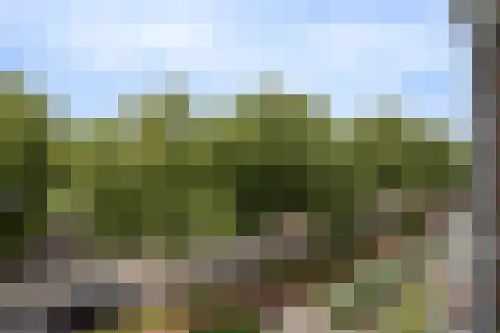 Beverweg 8 B Breda thumbnail 17