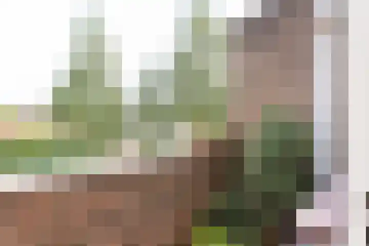 Beverweg 8 B Breda thumbnail 23