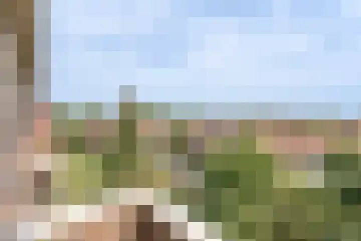 Beverweg 8 B Breda thumbnail 24