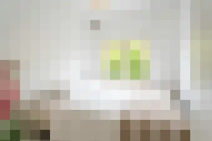 Beverweg 8 B Breda thumbnail 25