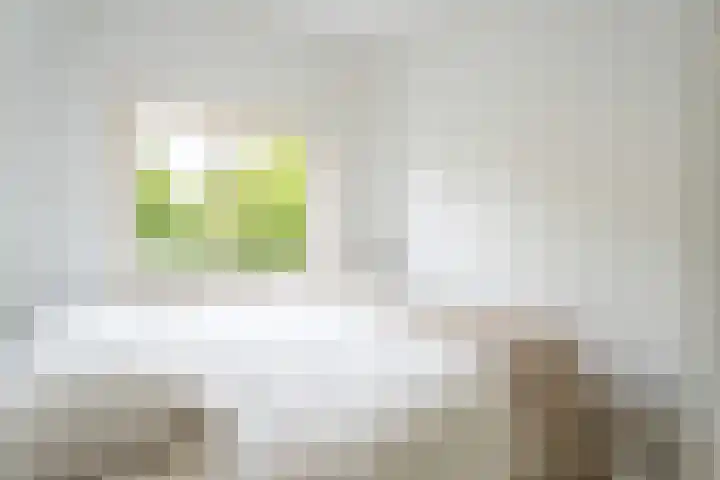 Beverweg 8 B Breda thumbnail 26