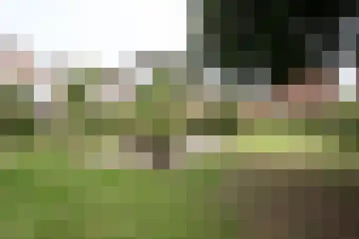 Beverweg 8 B Breda thumbnail 29