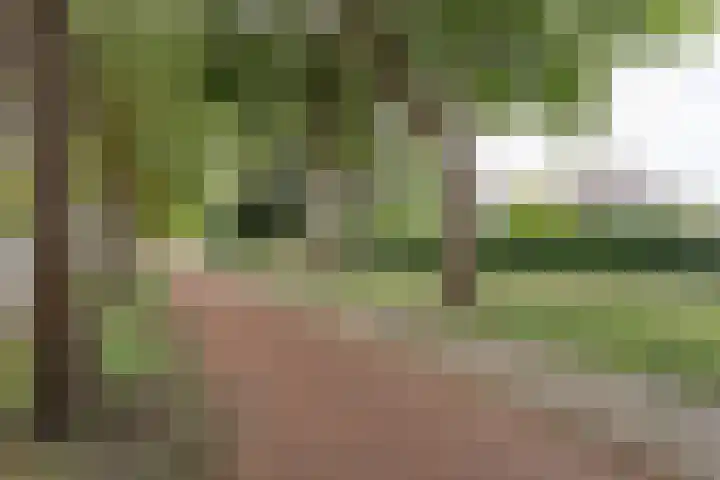 Beverweg 8 B Breda thumbnail 34